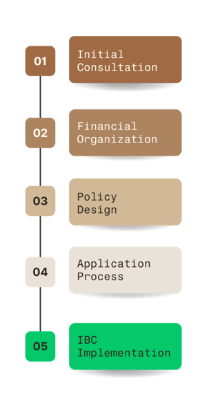 THE IBC PROCESS